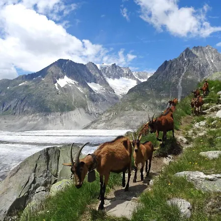 Aragon T100 By Interhome 公寓